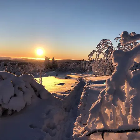 Tooren * Altenberg (Erzgebirge)