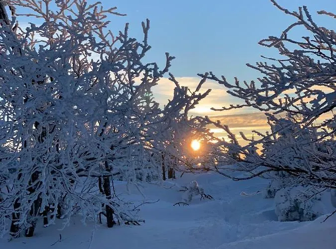 Tooren Altenberg (Monts-Métallifères)